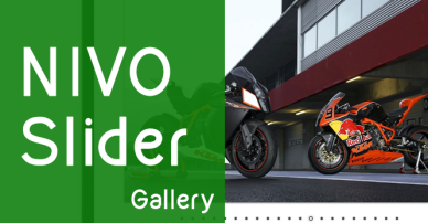 Nivo Slider Gallery